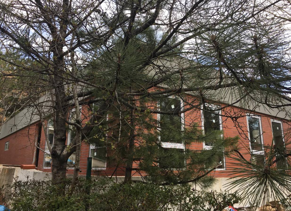 Orta Doğu Teknik Üniversitesi Hafif Çelik Kreş Projesi 190 m² 