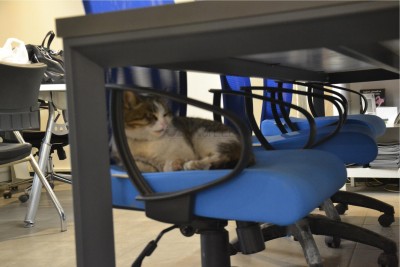 Fotos aus unserem Büro