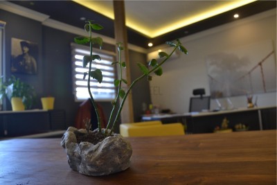 Fotos aus unserem Büro