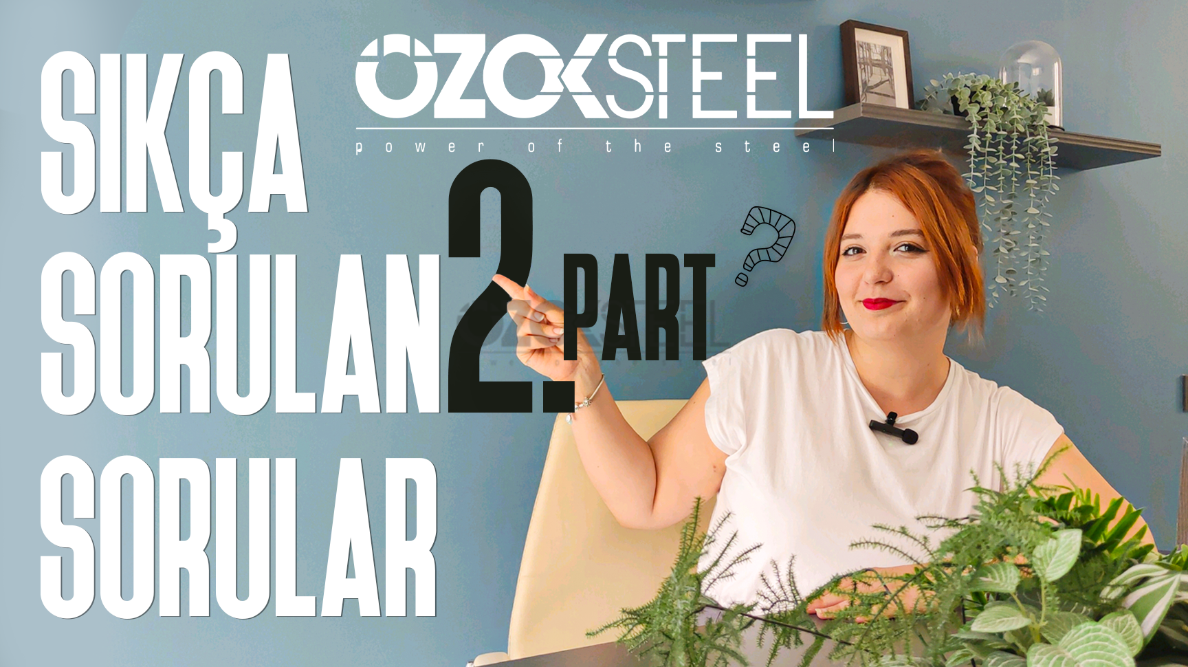 What are Light Steel House Prices?