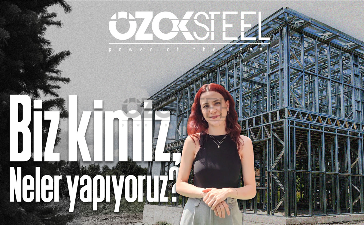 What We Do in the Field of Light Steel Construction